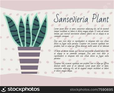Sansevieria plant kind vector, potted flower with long leaves, green foliage houseplant with explanation, poster with text. Nature at home, flower pot. Sanseveria Plant Information About Flower in Pot