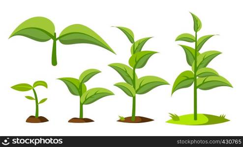 Saplings, Sprouts Growth Stages Vector Drawings Set. Green Saplings Growing In Soil Isolated Cliparts Pack. Seedling, Cultivation. Agriculture, Horticulture. Greenery, Gardening Flat Illustration. Saplings, Sprouts Growth Stages Vector Drawings Set