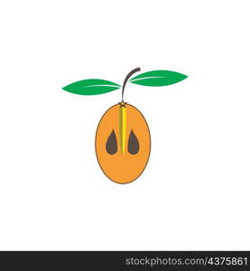 sapodilla fruit logo design icon illustration