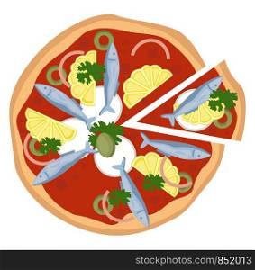 Sardine and citrus pizza illustration vector on white background