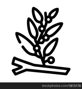 sargassum seaweed line icon vector. sargassum seaweed sign. isolated contour symbol black illustration. sargassum seaweed line icon vector illustration