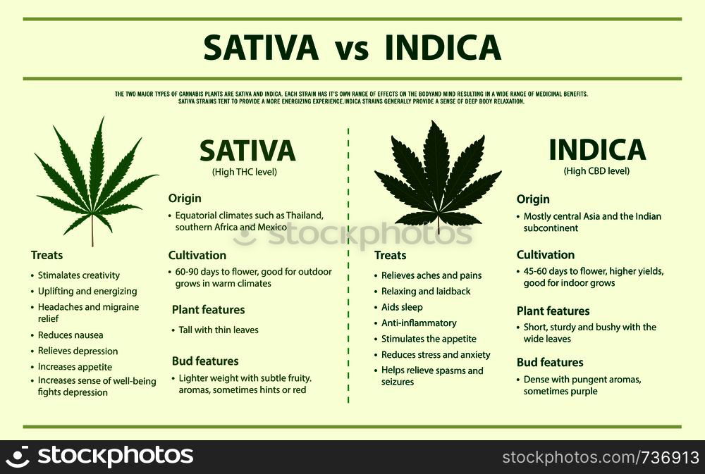 Types Of Weed Horizontal Infographic Illustration About Cannabis As ...