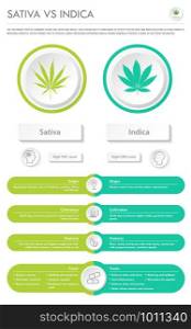 Sativa vs Indica vertical business infographic illustration about cannabis as herbal alternative medicine and chemical therapy, healthcare and medical science vector.