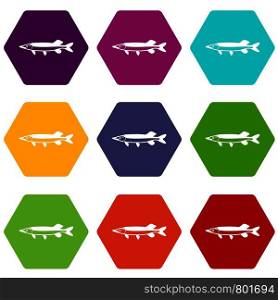 Saury icon set many color hexahedron isolated on white vector illustration. Saury icon set color hexahedron