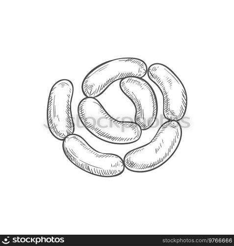 Sausages chain isolated bunch of meat food. Vector pork or beef frankfurter sausage. Chain sausages isolated butchery food frankfurters