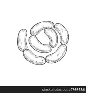 Sausages chain isolated bunch of meat food. Vector pork or beef frankfurter sausage. Chain sausages isolated butchery food frankfurters