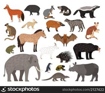 Savannah characters collection. Cartoon image of wildlife creatures, african animals set, vector illustration of residents of zoo isolated on white background. Savannah characters collection