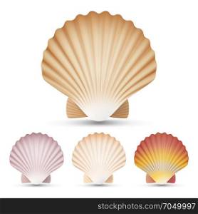 Scallop Seashell Set Vector. Exotic Souvenir Scallops Shell Isolated On White Background Illustration. Scallop Seashell Vector. Beauty Exotic Souvenir Scallops Shell Isolated On White Background Illustration