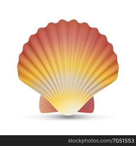 Scallop Seashell Vector. Realistic Scallops Shell Isolated On White Background Illustration. Scallop Seashell Vector. Beauty Exotic Souvenir Scallops Shell Isolated On White Background Illustration