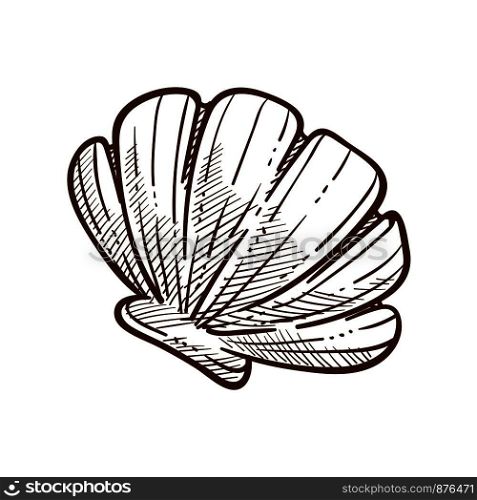 Scallop shell monochrome sketch outline. Marine object with hard protective outer case of a mollusk. Souvenirs of underwater organism with wavy surface, isolated on white vector illustration. Scallop shell monochrome sketch outline white vector illustration