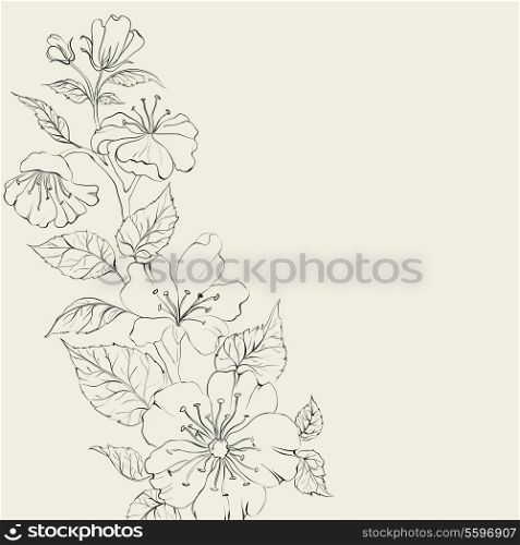 Scatch of spring sakura. Vector illustration, contains transparencies, gradients and effects.