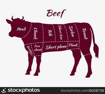 Scheme of Beef Cuts for Steak and Roast. American cuts of beef. Scheme of beef cuts for steak and roast. Butcher cuts scheme. Beef cuts diagram in vintage style. Meat cutting beef. Menu template grilling steaks and cow. Vector illustration