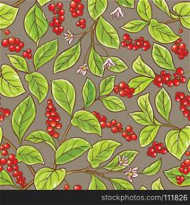 schisandra vector pattern. schisandra branches vector pattern on color background