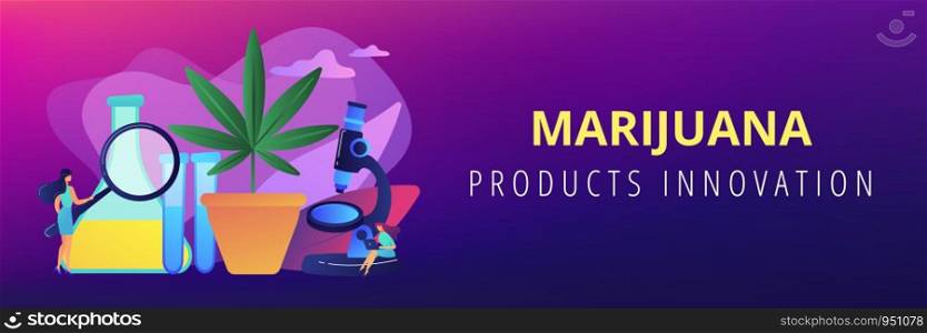 Scientists with magnifier doing cannabis innovations research. Marihuana products innovation, cannabis research, cannabinoid product science concept. Header or footer banner template with copy space.. Marihuana products innovation concept banner header.