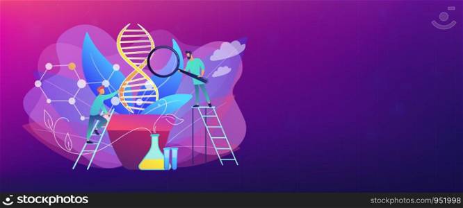 Scientists with magnifier looking at huge DNA in the pot. Genetically modified plants, GM crops and biotech crops concept on white background. Header or footer banner template with copy space.. Genetically modified plants concept banner header.