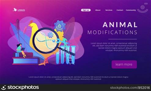 Scientists working with huge DNA of a chicken. Genetically modified animals, genetically modified animal experiments concept on white background. Website vibrant violet landing web page template.. Genetically modified animals concept landing page.