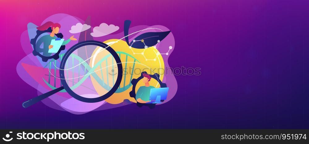 Scientists working with magnifier and apple DNA. Genetically modified foods, GM foods and genetically engineered foods concept on white background. Header or footer banner template with copy space.. Genetically modified foods concept banner header.
