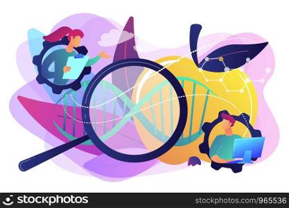 Scientists working with magnifier and apple DNA. Genetically modified foods, GM foods and genetically engineered foods concept on white background. Bright vibrant violet vector isolated illustration. Genetically modified foods concept vector illustration.