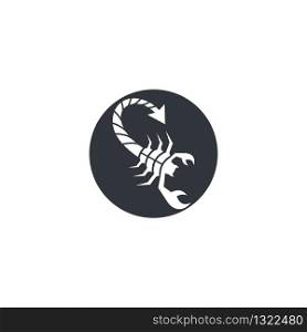 Scorpion logo template vector illustration