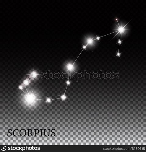 Scorpius Zodiac Sign of the Beautiful Bright Stars Vector Illustration EPS10. Scorpius Zodiac Sign of the Beautiful Bright Stars Vector Illust