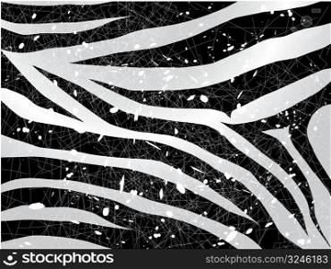 scrapped vector zebra background in black and white