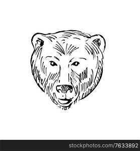 Scratchboard style illustration of head of a brown bear Ursus arctos or grizzly bear viewed from front done on scraperboard on isolated background in black and white.. Head of a Brown Bear Ursus Arctos or Grizzly Bear Scratchboard Style Black and White
