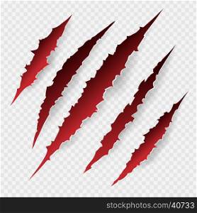 Scratches isolated on transparent background. Scratches isolated on transparent background. Vector scratch set