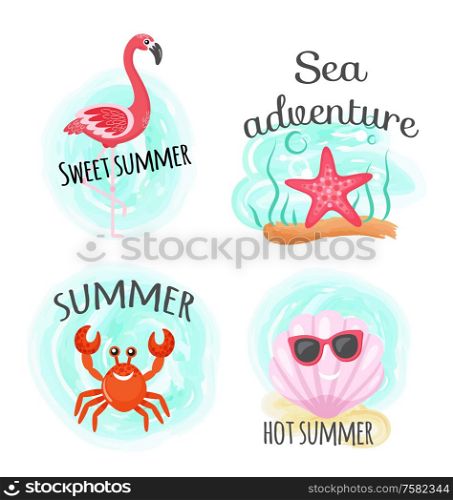 Sea adventure and hot summer, ocean bottom, diving vector. Flamingo and starfish, crab and shellfish in sunglasses, tropical bird and underwater animals. Hot Summer and Sea Adventure, Ocean Bottom, Diving