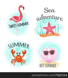 Sea adventure and hot summer, ocean bottom, diving vector. Flamingo and starfish, crab and shellfish in sunglasses, tropical bird and underwater animals. Hot Summer and Sea Adventure, Ocean Bottom, Diving