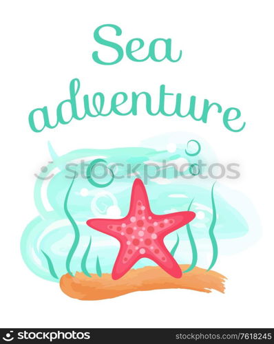 Sea adventure vector, pink seastar living underwater. Creature sea dweller, aquatic creature on sand. Seaweed foliage and flora of ocean flat style. Sea Adventure Starfish Deep Down Sea, Seastar