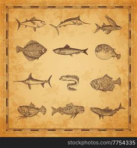 Sea and ocean fish sketches, ancient map elements with marine monsters. vector. Sailor vintage map scroll with ocean shark and tuna, flounder and swordfish, marlin, muraena, underwater monster sketch. Sea and ocean fish sketches, ancient map elements