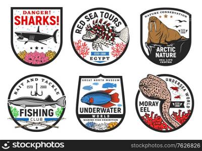 Sea and underwater animals icons, undersea fishes life and ocean world vector signs. Underwater world tours and coral reef oceanarium exhibition museum, fishing club and danger shark signs. Sea underwater animals icons, undersea fishes life