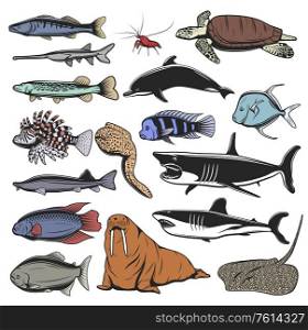 Sea animal, fish and turtle isolated cartoon characters. Vector sea turtle, ocean sharks and dolphin, shrimp or prawn, stingray, pike and salmon, walrus, moray eel, lionfish, sterlet and selene vomer. Sea animals, isolated fish and turtle