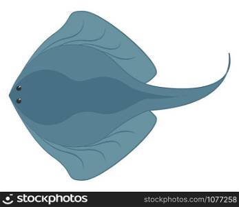 Sea animal, illustration, vector on white background.