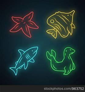 Sea animals neon light icons set. Starfish, butterflyfish, shark, seal. Ocean underwater wildlife. Aquatic fish species. Undersea world. Oceanography. Glowing signs. Vector isolated illustrations