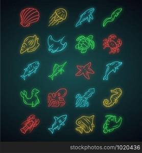 Sea animals neon light icons set. Turtle, jellyfish, butterflyfish. Swimming mollusk and fish. Underwater wildlife. Ocean inhabitants. Aquatic creatures. Glowing signs. Vector isolated illustrations