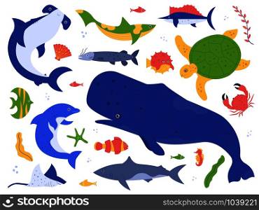 Sea animals species. Ocean animals in their natural habitat. Cute whale, dolphin, shark and turtle vector illustration set. Undersea world pack. Water plants, seaweed hammer fish isolated on white. Sea animals species. Ocean animals in their natural habitat. Cute whale, dolphin, shark and turtle vector illustration set. Undersea world pack. Water plants seaweed and algae collection