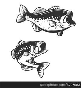 Sea bass fish silhouettes isolated on white background. Design elements for logo, label, emblem for fishing club. Vector illustration.