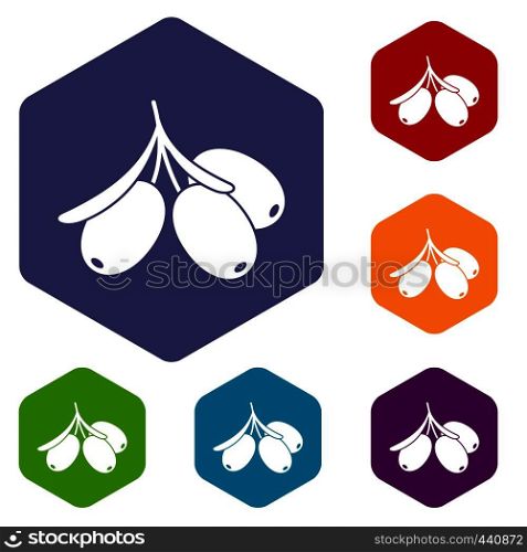 Sea buckthorn branch icons set hexagon isolated vector illustration. Sea buckthorn branch icons set hexagon
