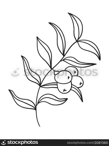 Sea buckthorn branch vector. Fruits on a branch with leaves in a linear style. Logo nature illustration. Sea buckthorn branch vector. Fruits on a branch with leaves in a linear style.
