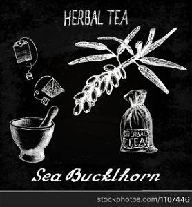 Sea buckthorn herbal tea. Chalk board set of vector elements on the basis hand pencil drawings. Sea buckthorn, tea bag, mortar and pestle, textile bag. For labeling, packaging, printed products. Sea buckthorn herbal tea. Chalk board set of vector elements