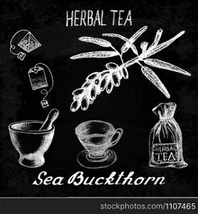 Sea buckthorn herbal tea. Chalk board set of vector elements on the basis hand pencil drawings. Sea buckthorn, tea bag, mortar and pestle, textile bag, cup. For labeling, packaging, printed products. Sea buckthorn herbal tea. Chalk board set of vector elements