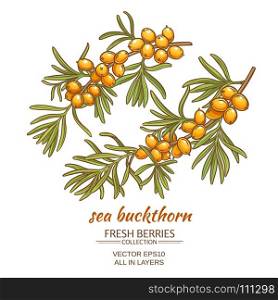 sea buckthorn vector illustration. sea buckthorn on white background