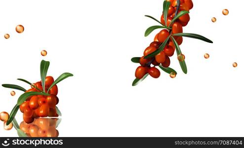 Sea buckthorn yellow ripe berries and green leaves, set isolated on white background. Collection of juicy sea-buckthorn fruit and liquid golden oil drops design element for food or cosmetics packaging. Sea buckthorn, yellow berries and green leaves