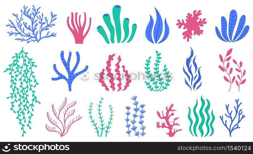 Sea corals. Underwater plants, hand drawn marine botanical seaweed, polyps and corals, sea flora vector illustration set. Ocean or aquarium coral and plant. Sea corals. Underwater plants, hand drawn marine botanical seaweed, polyps and corals, sea flora vector illustration set