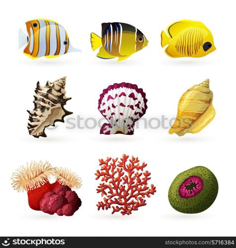 Sea fauna decorative colored icons set with fishes shells and corals isolated vector illustration