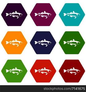 Sea fish icons 9 set coloful isolated on white for web. Sea fish icons set 9 vector