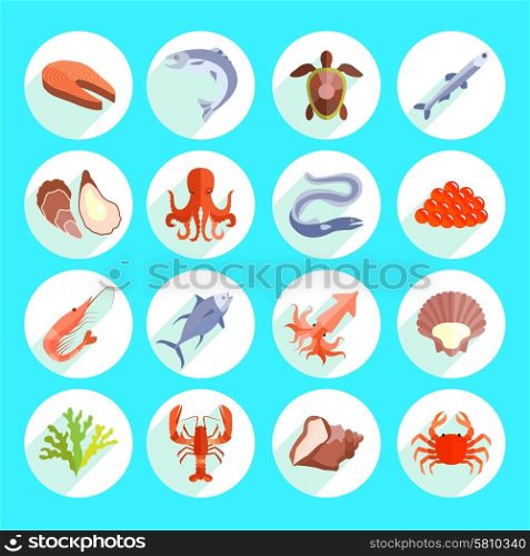 Sea food icons flat set with prawn oyster fish caviar isolated vector illustration. Sea Food Icons Flat