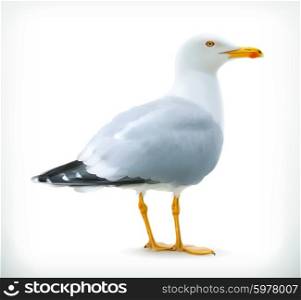 Sea gull, vector icon