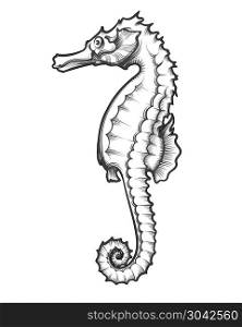 Sea Horse drawn in engraving tattoo style. Vector Illustration. Sea Horse Engraving Illustration